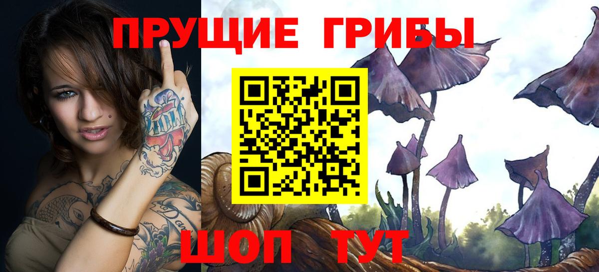 Сертолово  Псилоцибиновые грибы мухоморы  Вход с VPN 